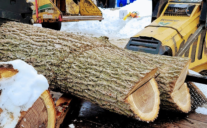 Stump Grinding Waupaca Tree Services