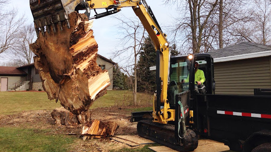 Gabe's Stump Removal