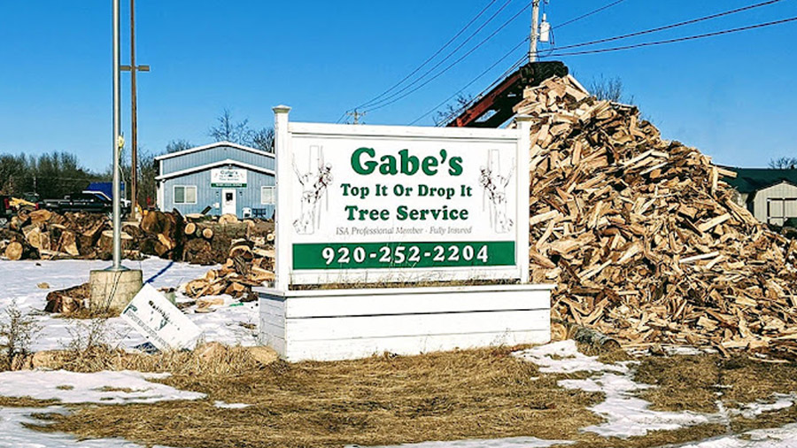 Gabe's Top It or Drop It - Quality Tree Trimming Services