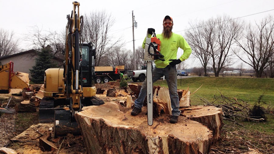 Gabe's Tree Service - Stump Grinding