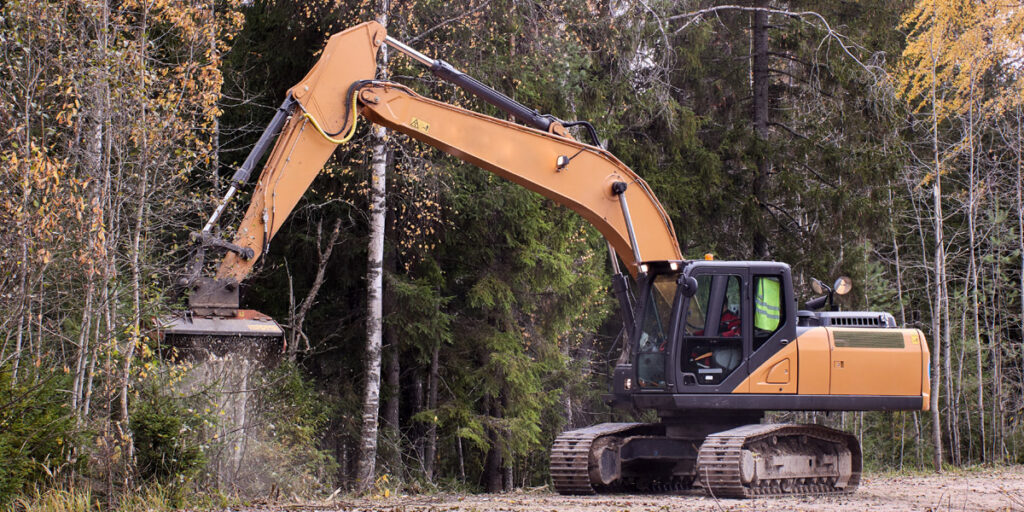 Right of Way Clearing, Improves Accessibility