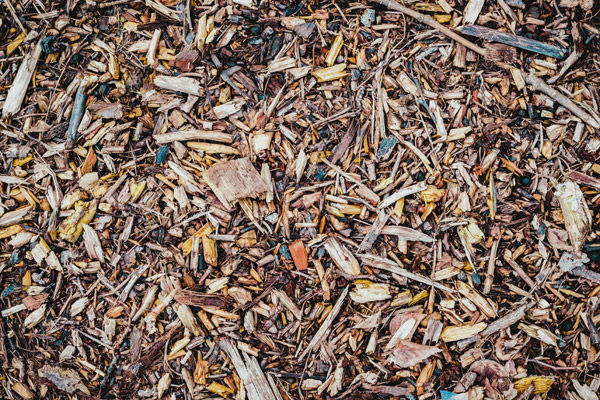 How to Use Wood Chips and Mulch After Tree Removal