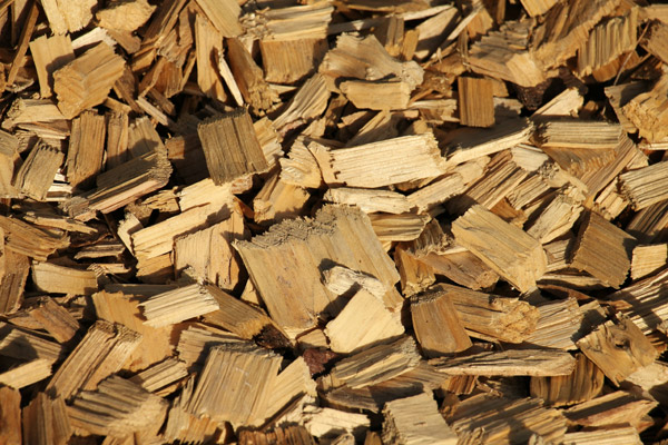 Wood Chips Closeup