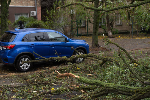 Storm Damage